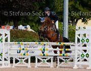 Fenili Easy Diamond GioCav2013 S5 1330 : Campionati Italiani Giovani Cavalli, Cattolica, Easy Diamond, Fenili Davide, ph Stefano Secchi ©